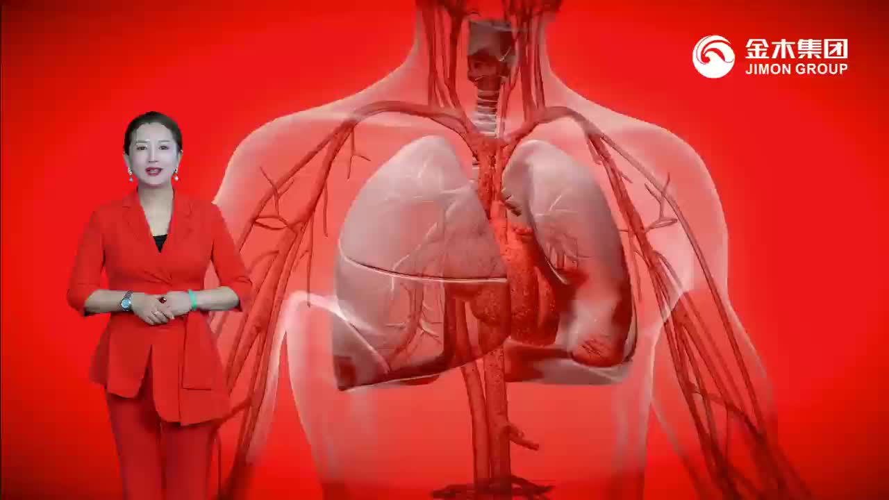 S1大健康-金木仁心康一
