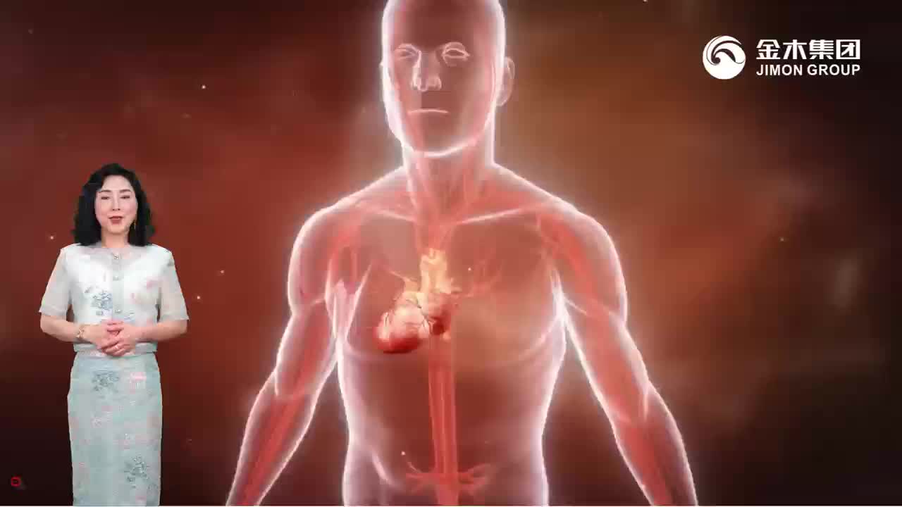 S1大健康-金木仁心康二